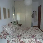 Casa De Pueblo Con Jardin